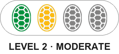 Level 2 — Moderate